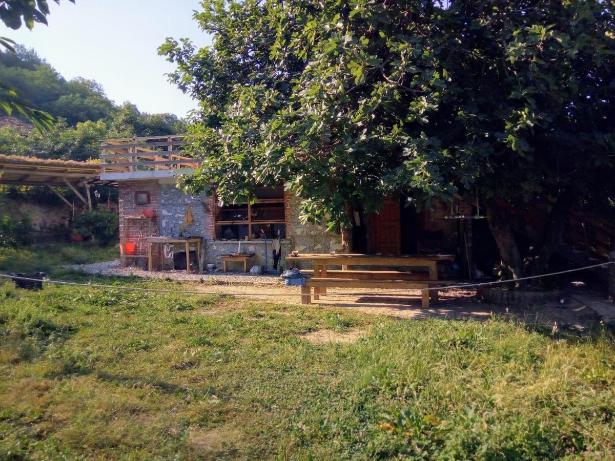 The House In The Village Pellumbas المظهر الخارجي الصورة
