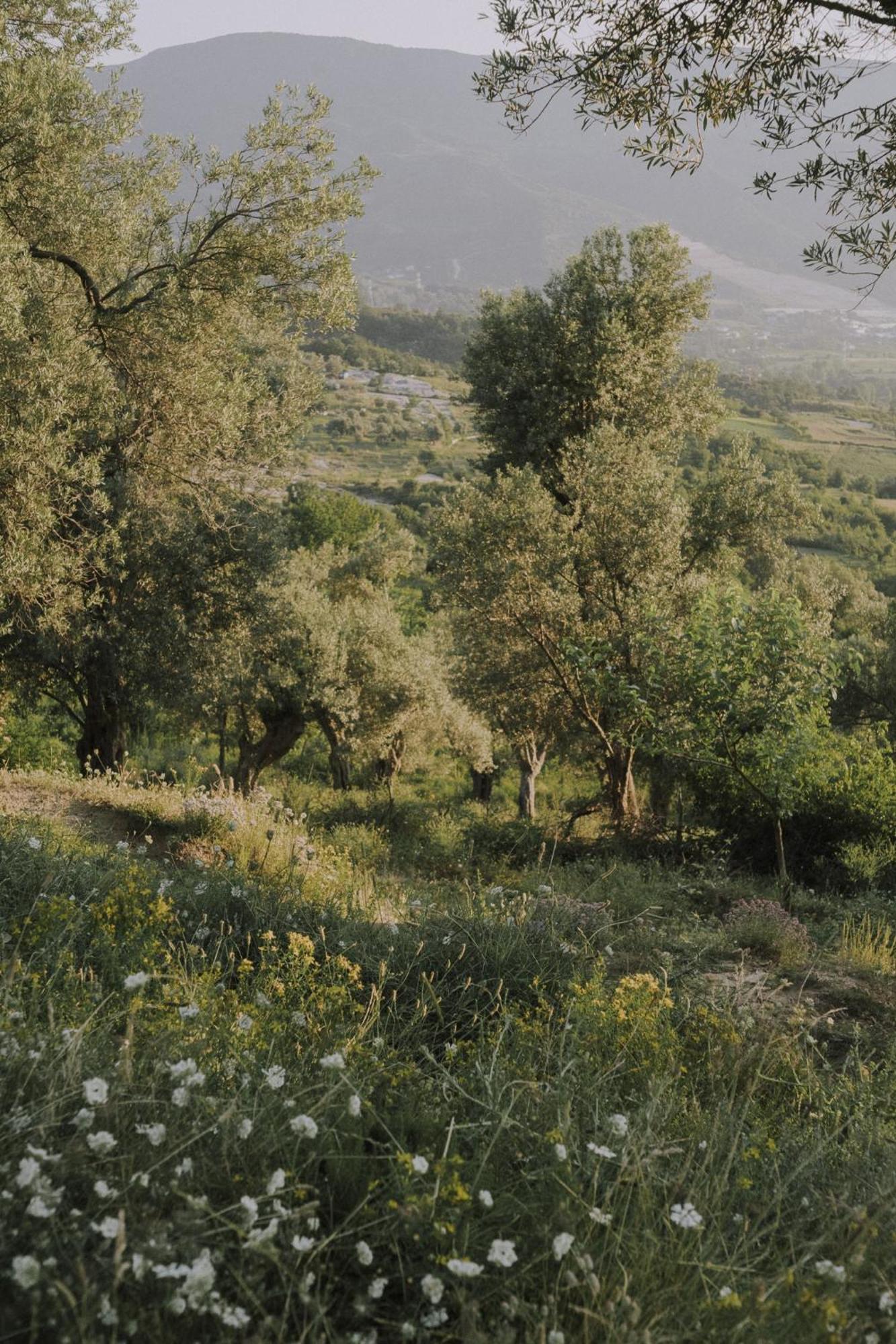 The House In The Village Pellumbas المظهر الخارجي الصورة